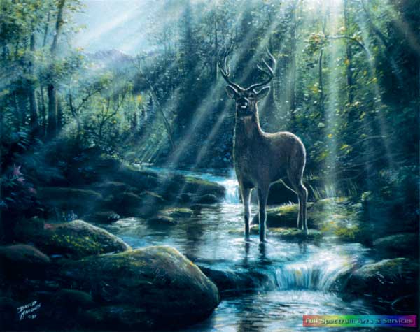 Deer Crossing the River