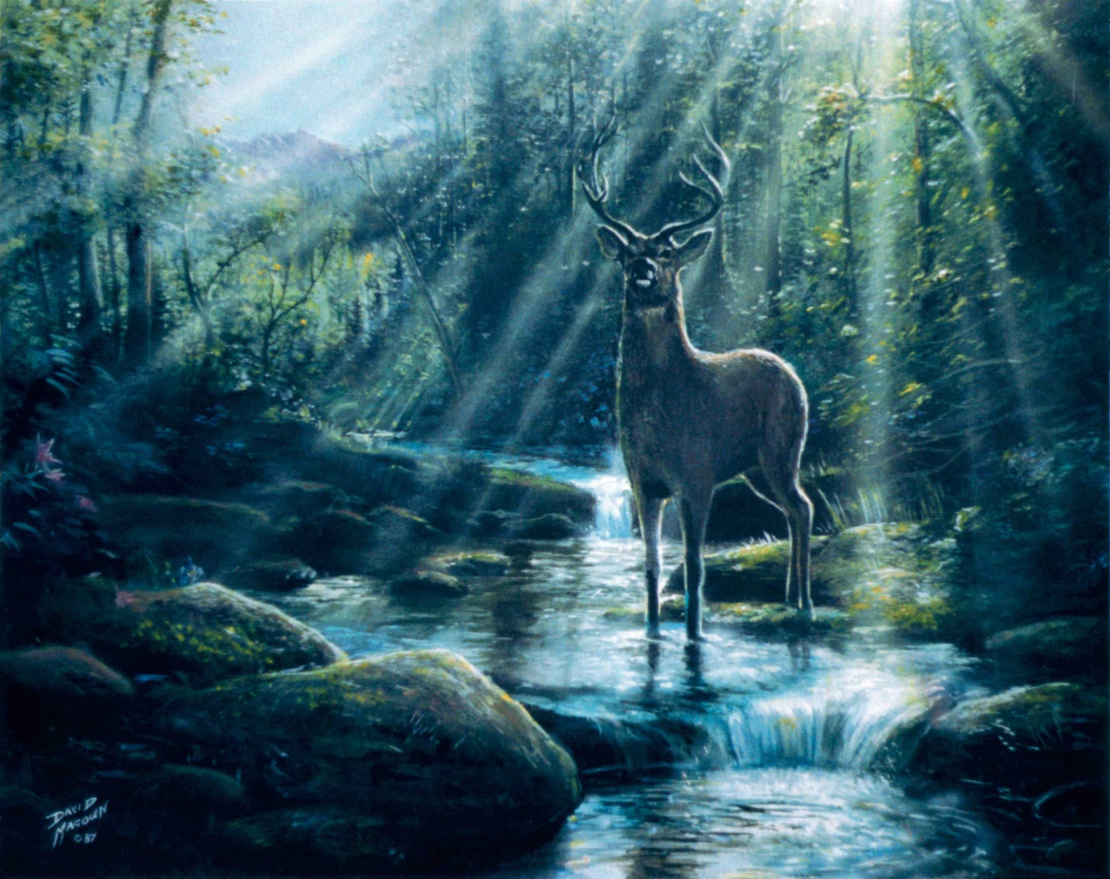 Deer — thumbnail