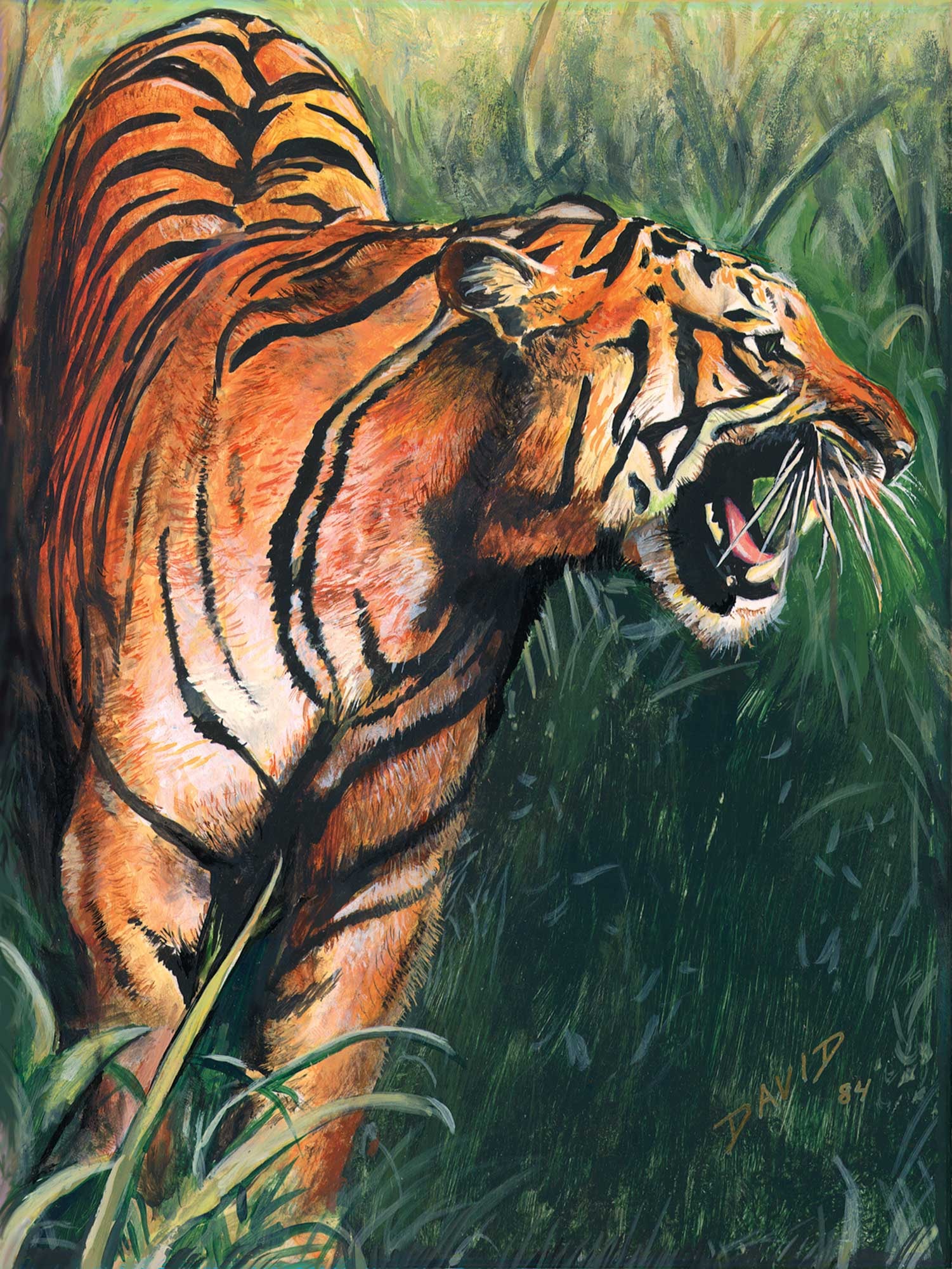 Tiger — thumbnail