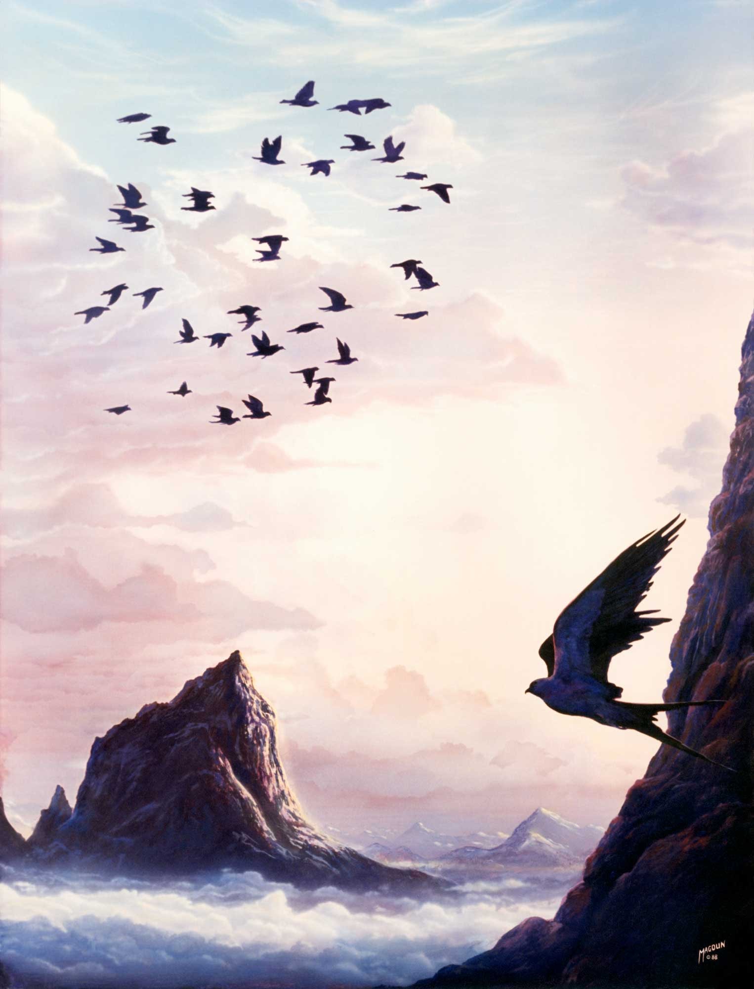Upper Realms — Falcon — thumbnail