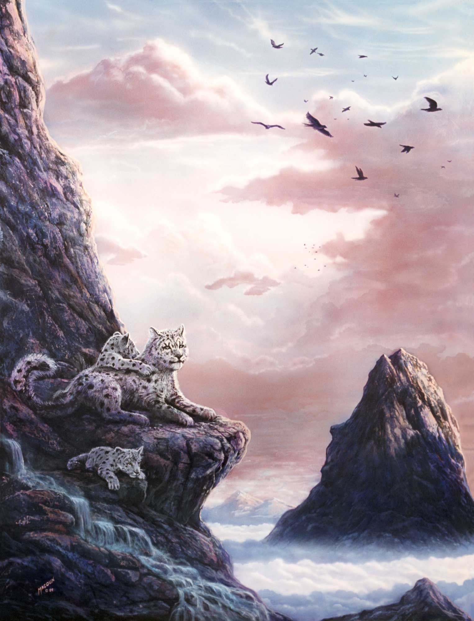 Upper Realms — Snow Leopard — thumbnail
